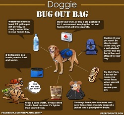 dog bugout bag